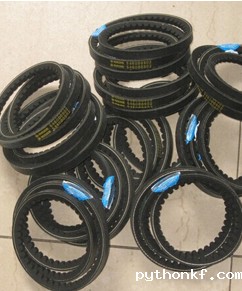 高清世界杯直播在哪看的皮带